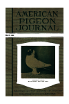 Cover. click for larger image